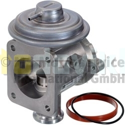 EGR valve 7.00450.10.0