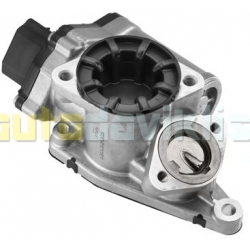 EGR valve A2C59515008