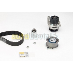 Timing belt and water pump kit CT1028WP2