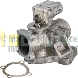 EGR valve 7.00555.06.0